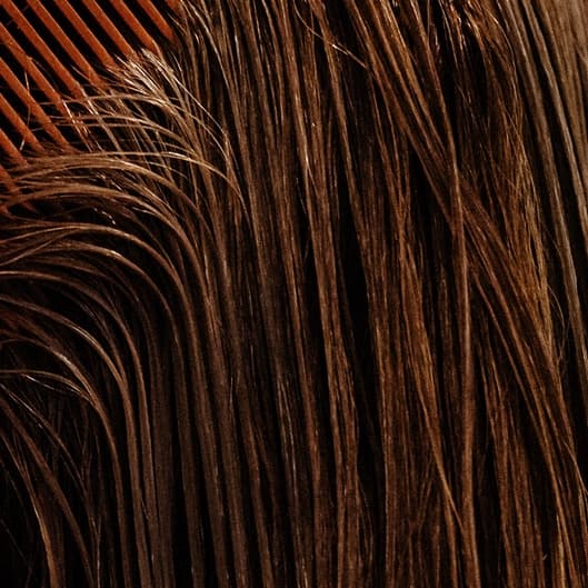 Dry cut at Sol Luna Salon in Fargo, ND